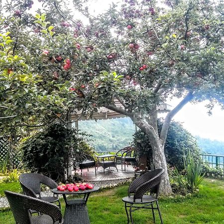 The Swiss Village Resort Nainital Εξωτερικό φωτογραφία