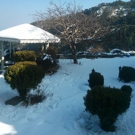 The Swiss Village Resort Nainital Εξωτερικό φωτογραφία