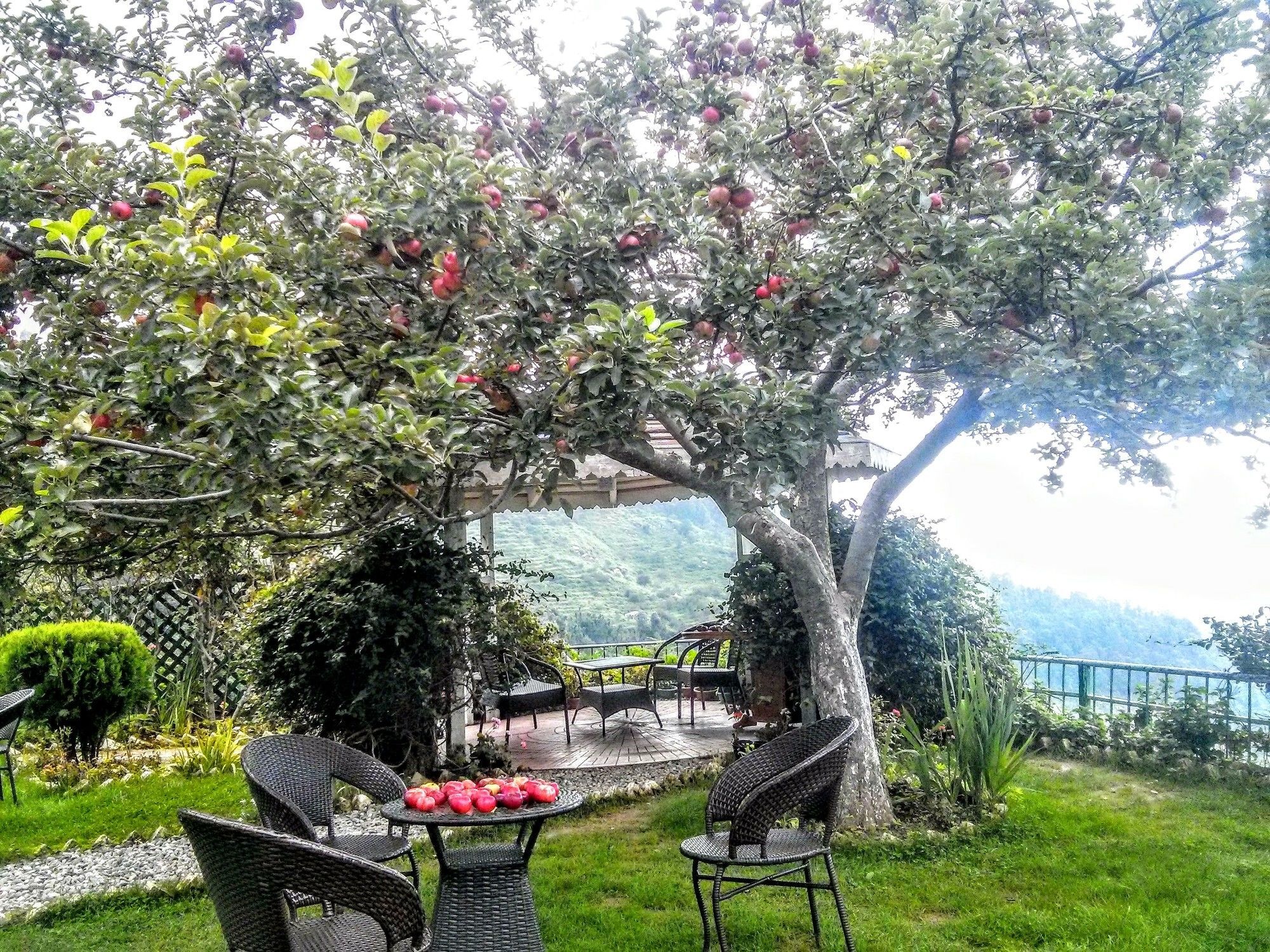 The Swiss Village Resort Nainital Εξωτερικό φωτογραφία