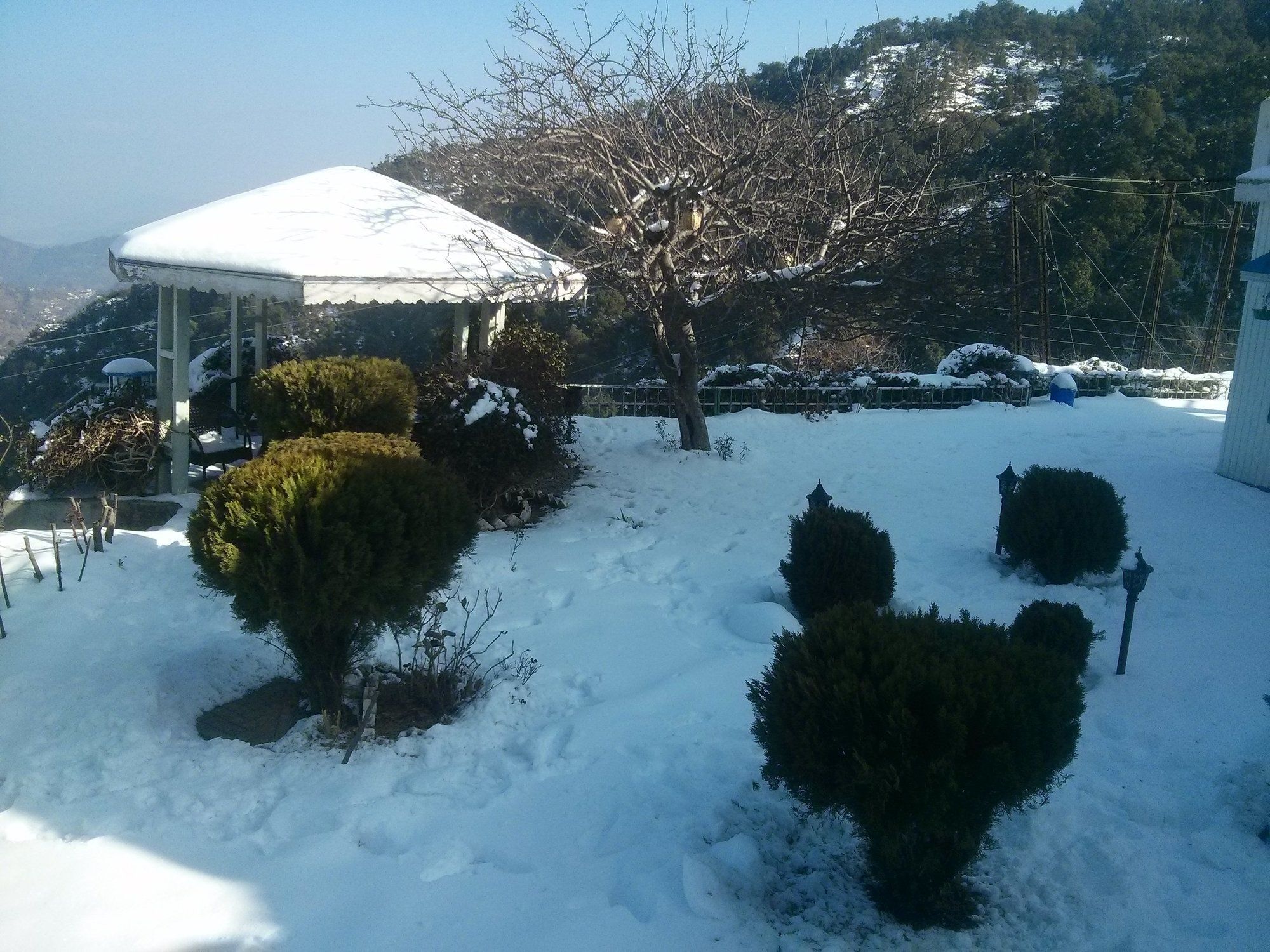 The Swiss Village Resort Nainital Εξωτερικό φωτογραφία
